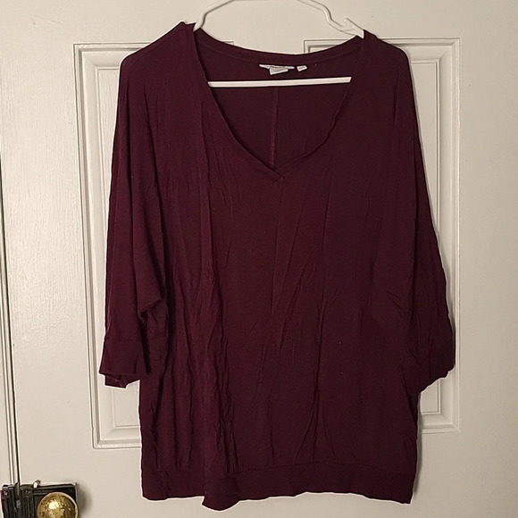 Reitmans Tops - Reitman's V  Neck Top